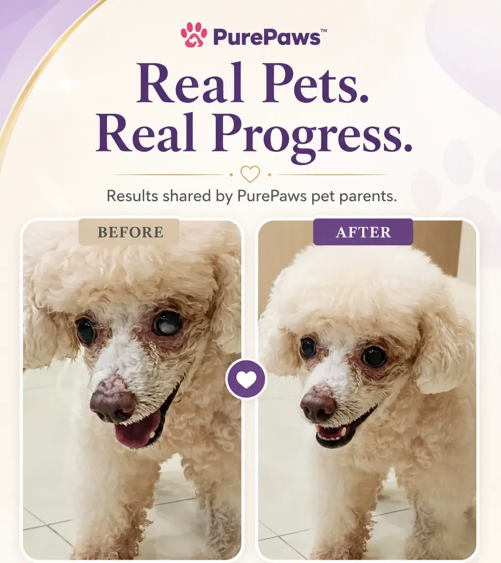 Customer-shared before and after eye-area appearance photos