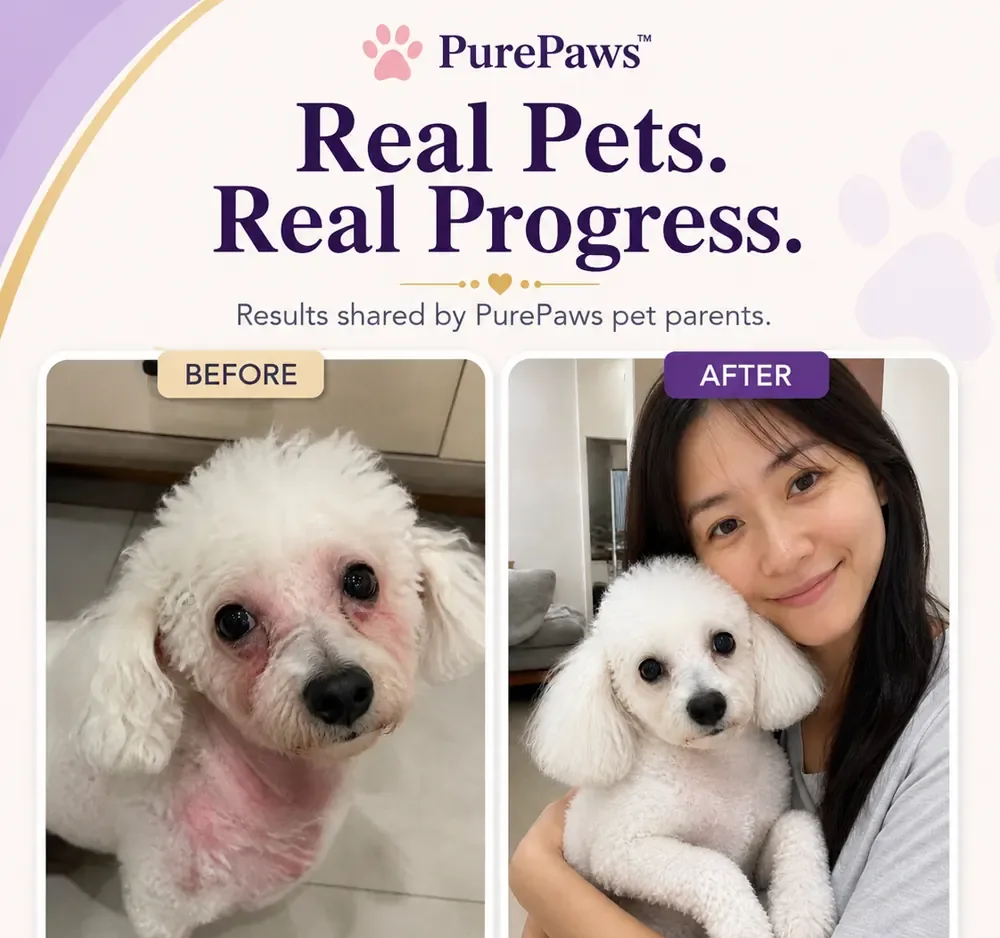 Customer-shared before and after skin and coat appearance photos