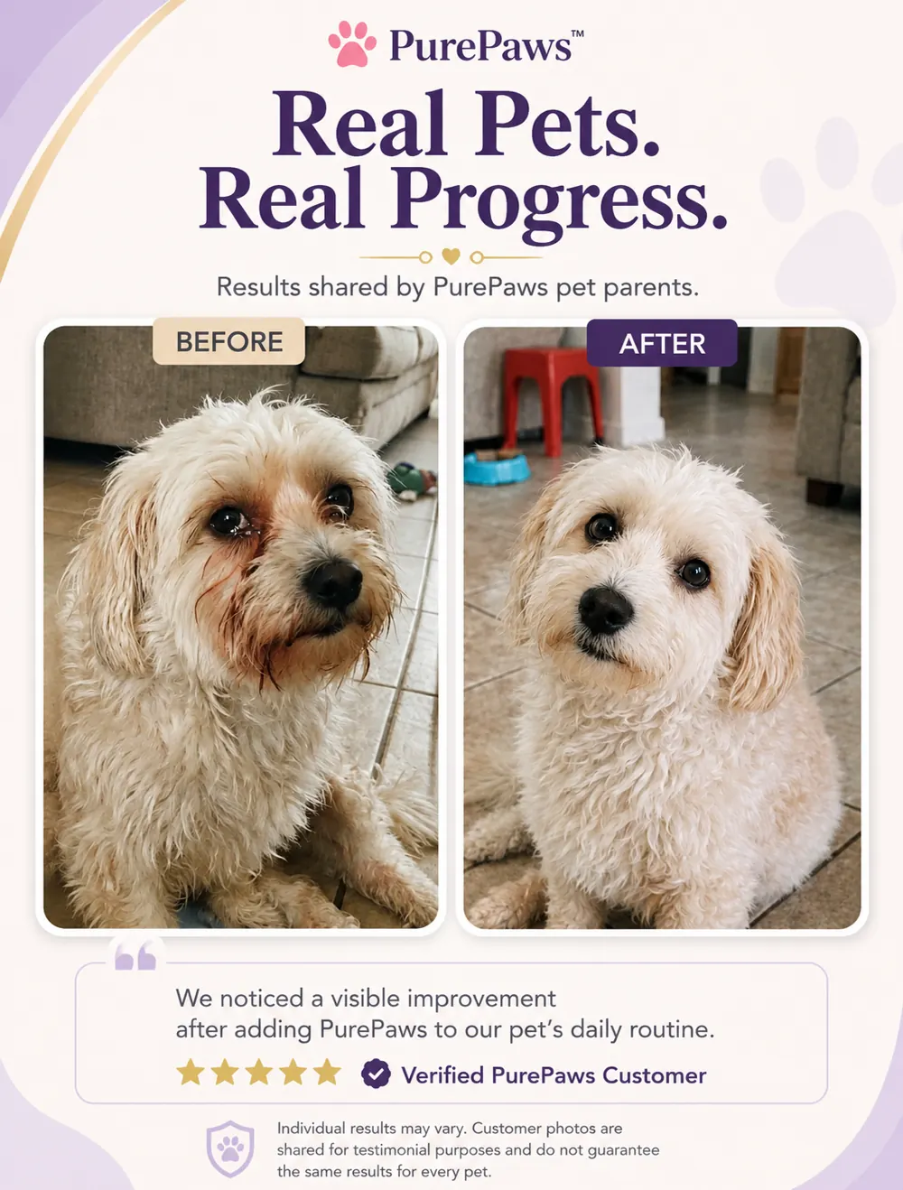 Customer-shared pet progress comparison