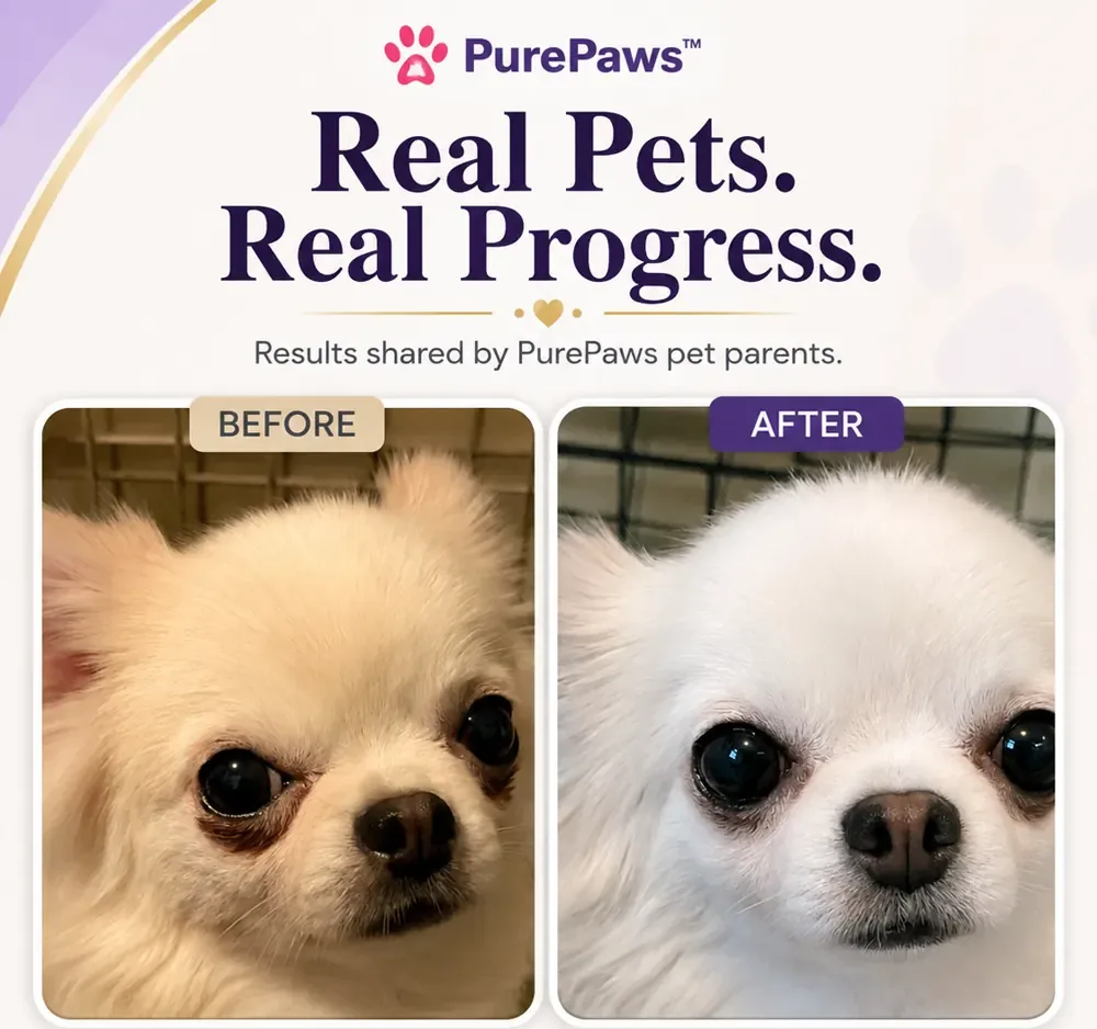Customer-shared before and after eye-area appearance photos